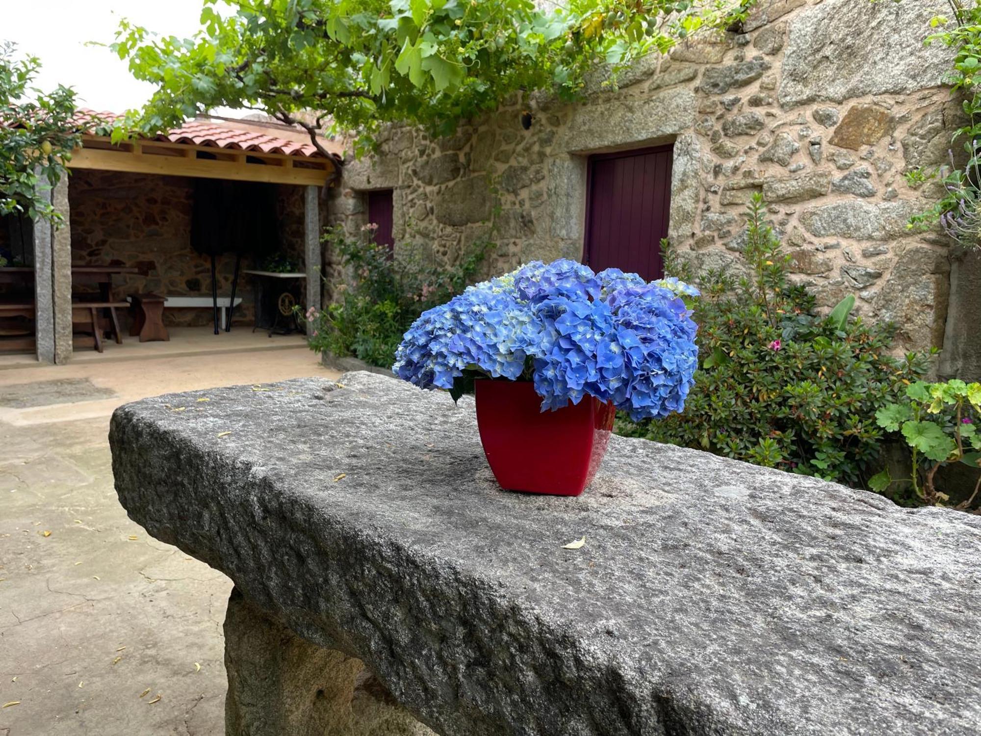 Casa Velha-Santiagofamilyhouse Villa Sever do Vouga Dış mekan fotoğraf