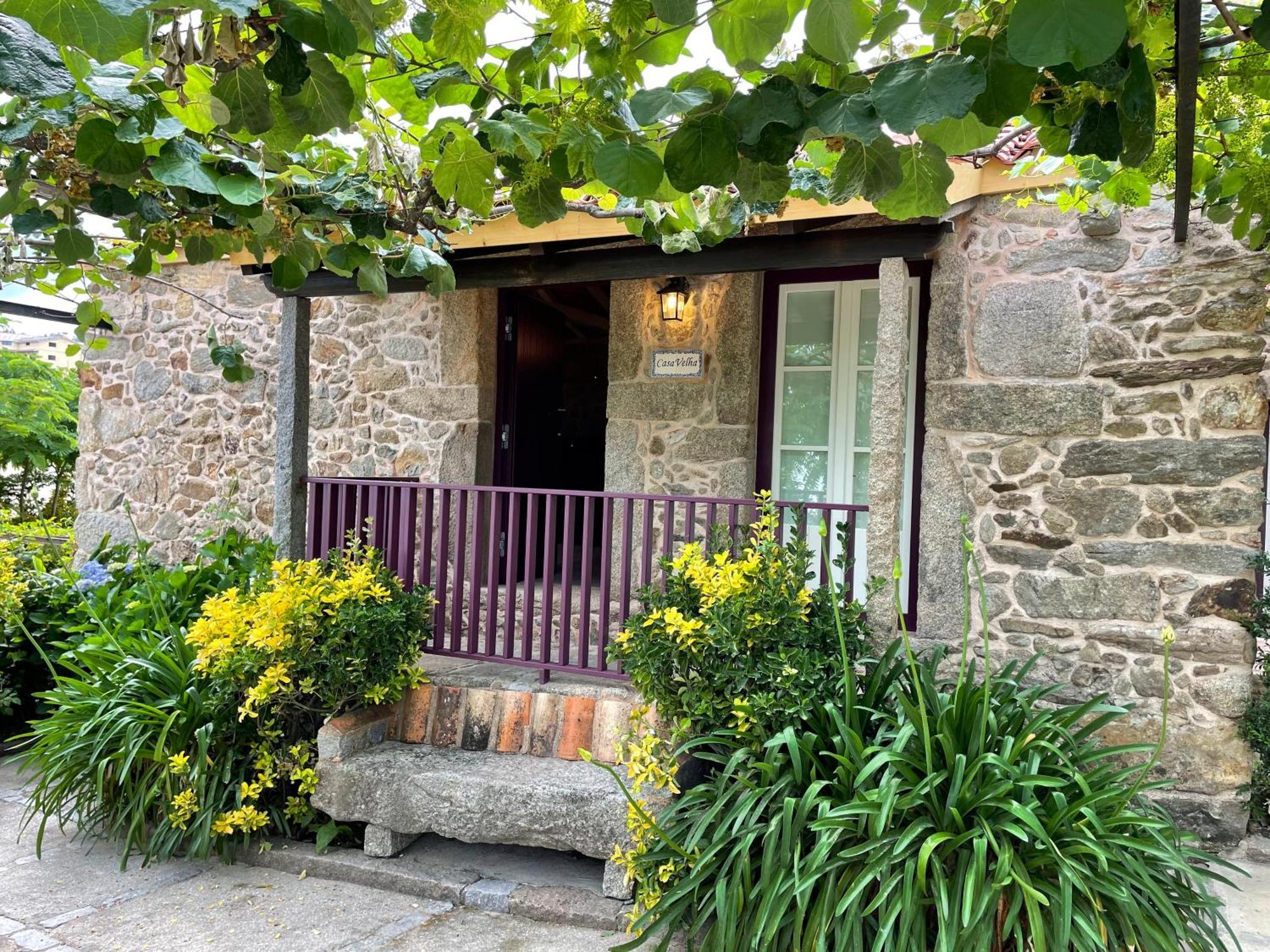 Casa Velha-Santiagofamilyhouse Villa Sever do Vouga Dış mekan fotoğraf